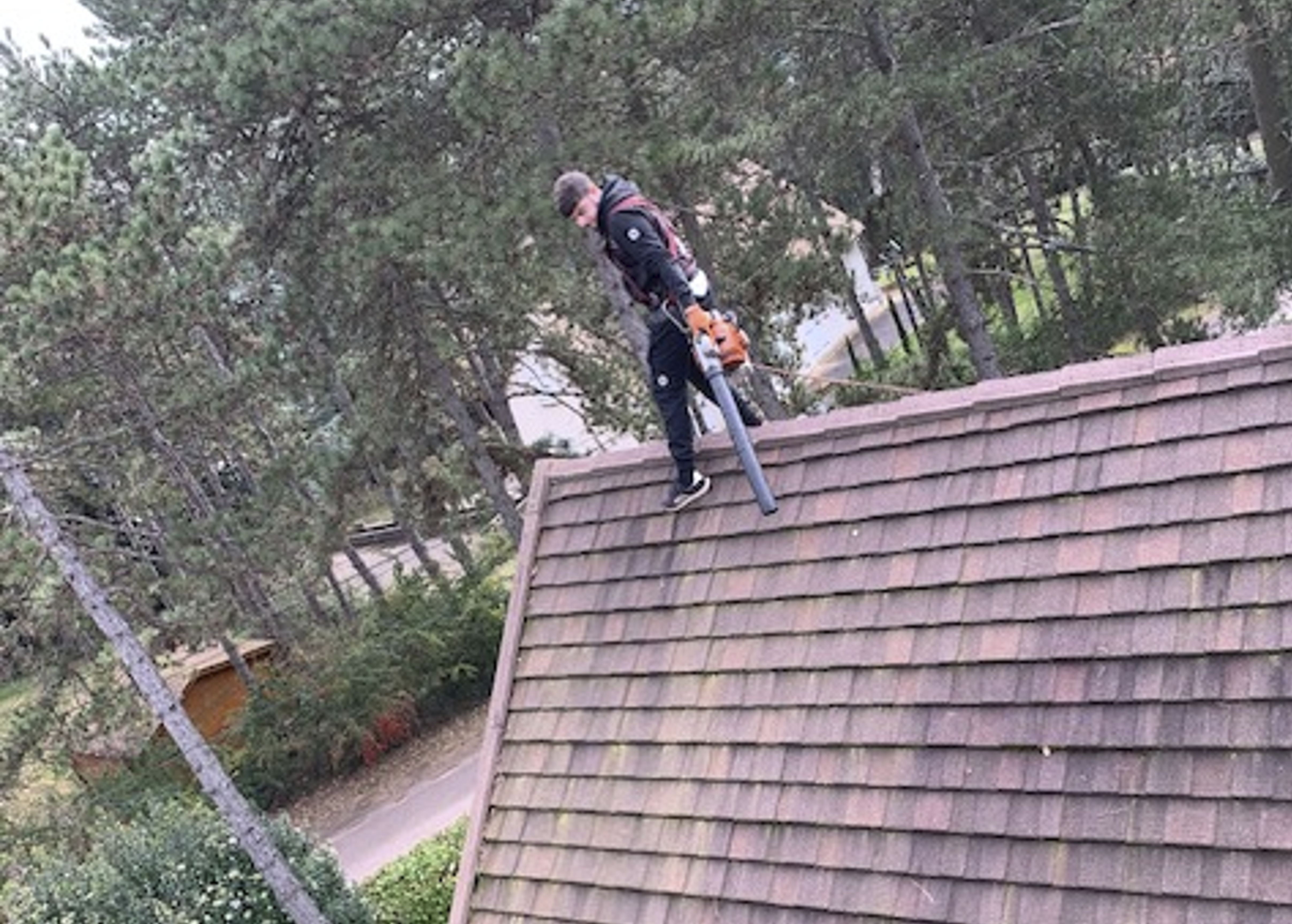 Nettoyage et démoussage à Demigny