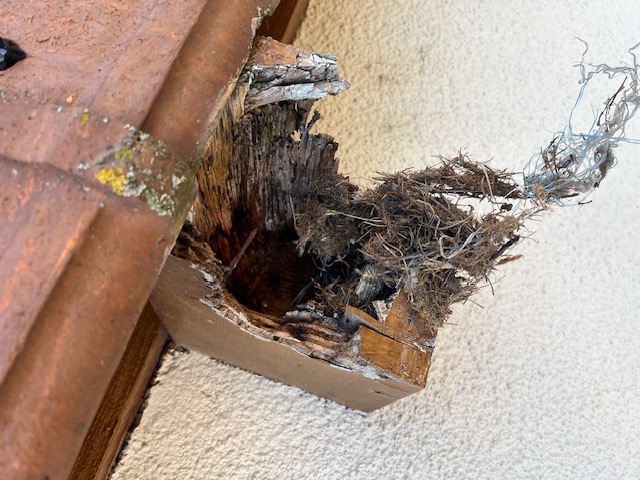 Reparation panne beaune 21200 1 - Boiserie et habillage PVC à Beaune