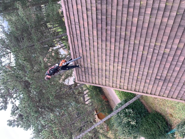 Image11 - Nettoyage et démoussage à Beaune